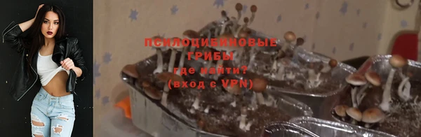СК Беломорск