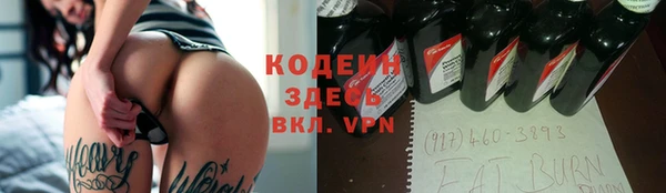 молекула духа Няндома