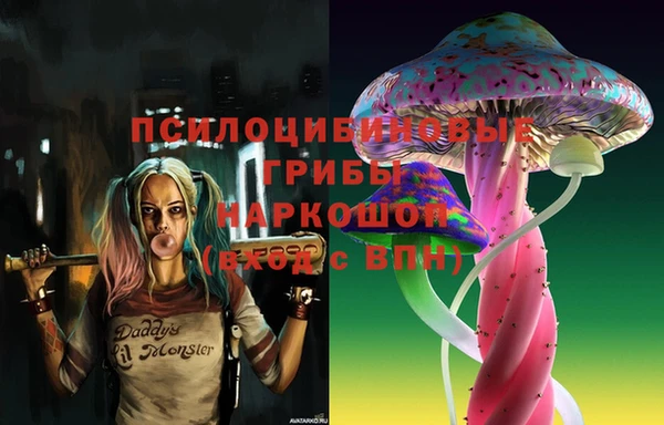СК Беломорск