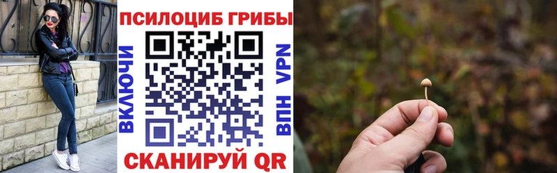цены наркотик  Озёрск  Псилоцибиновые грибы GOLDEN TEACHER 