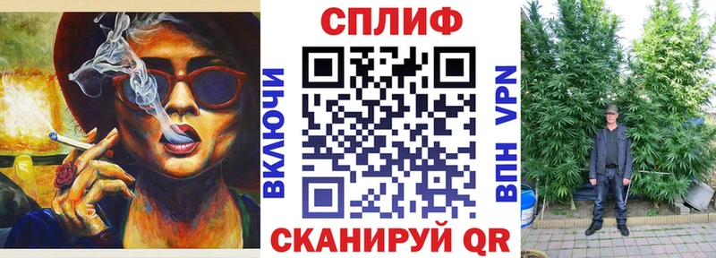 где найти   Озёрск  Бошки марихуана марихуана 